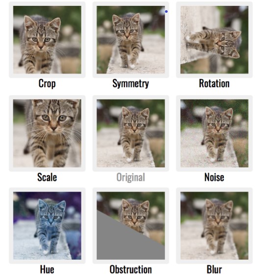 Self-Supervised Learning
