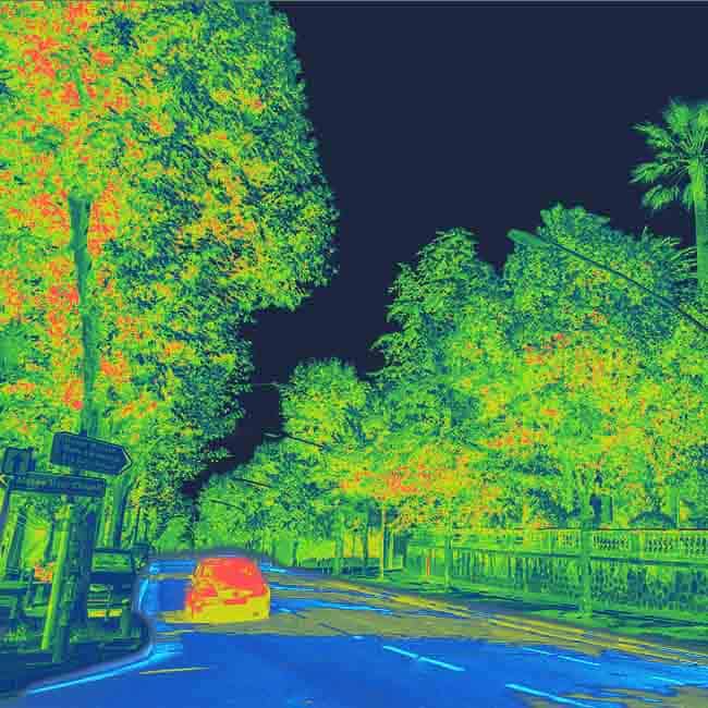 Lidar semantic segmentation labels data points in the input modality